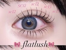 ビーナスベルト 池袋(VENUS BELT)/上下フラットラッシュ