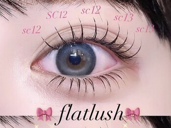 ビーナスベルト 池袋(VENUS BELT)/上下フラットラッシュ