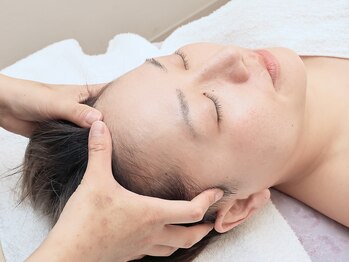 エステティック ライム(Esthetic Lime)/