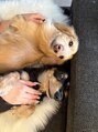 マナオリ(Mana oli) 2匹のわんちゃんに癒されてます