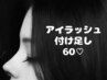 【会員様限定】　グラマラスフラット　付け足し　60束　6800円