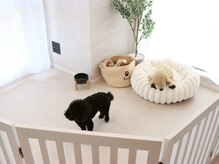 ワグ(wag)/小型犬同伴可◎