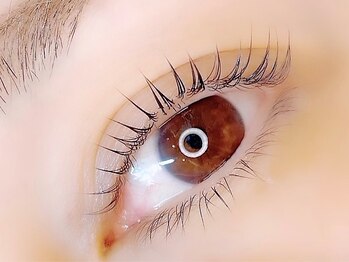 アミスアイラッシュ(amis eyelash)の写真/ラッシュリフト<パリジェンヌ>/LEDエクステ導入店☆周りから褒められる目元に♪