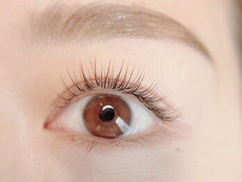 エルモ アイ(ELMO eye)/ブラウンフラットラッシュ