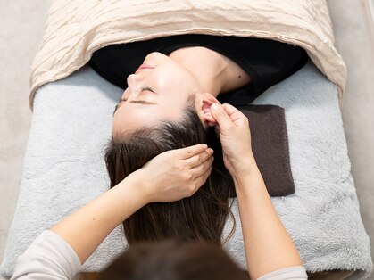 hiraku palm の写真