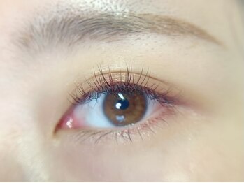 エム ラッシュ(M Lash)/フラットラッシュ140本