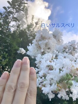 桃の木 吉祥寺店/自爪が綺麗だと嬉しくなる