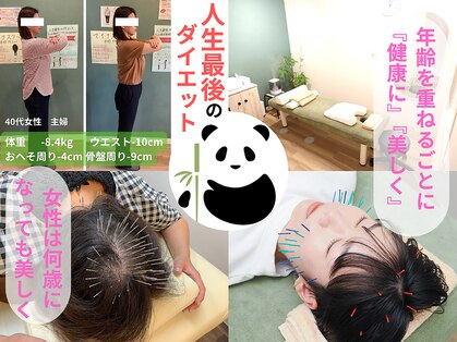 パンダ(Panda)の写真