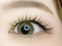 エイミーラッシュ 千葉(Aimee Lash)/ダブルフラット240本