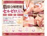 痩身【本気でサイズダウンが目的の方にオススメ】脂肪分解燃焼セルゼロ80分