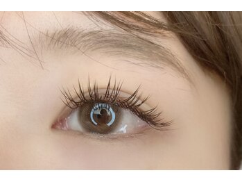 ドリー(DOLLY)/フラットラッシュ120本