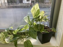 ユー(You)/店内雰囲気3