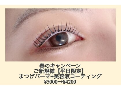 オッキーニ(occhini)の写真