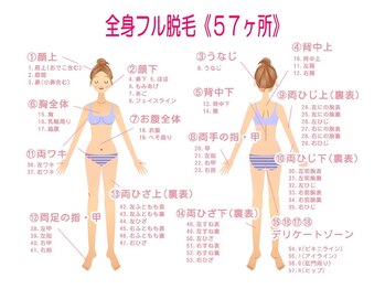 ピュアミント/女性/18パーツ