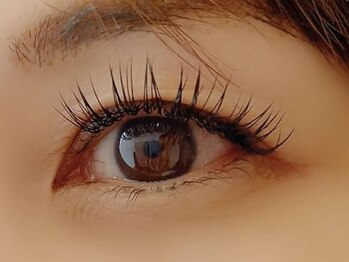 エフ(F...)/フラットラッシュ160本