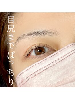 ハオルチア(Haworthia)/ケラチントリートメントパーマ