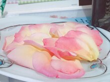 ハミングバード/薔薇の花が散ったので…