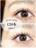 【再来の方】　フラットラッシュ 120本