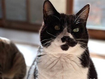 まるまる舎/ひなた