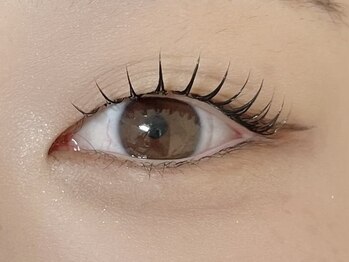 ローラン(LORAN)/立ち上げカール