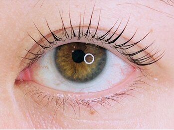 アーサス ヘアー デザイン 燕三条店(Ursus hair Design by HEAD LIGHT)/ラッシュリフト