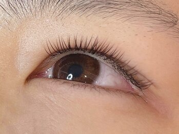 ウルカ アイラッシュ(uruka EYELASH)/ブラウンフラットラッシュ 120本