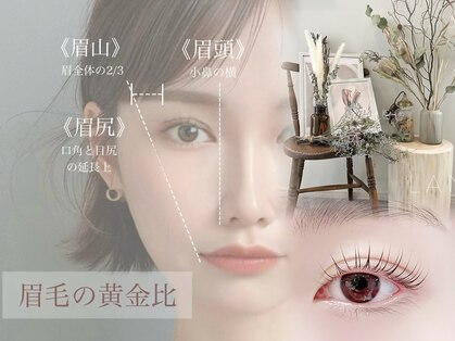 ランド(LAND)の写真