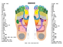 リラクゼーションサロン 甲/足裏の反射区