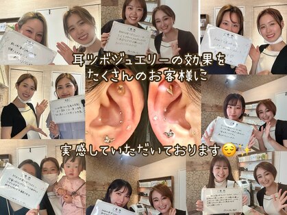 宿り木の写真