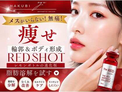 白美の写真