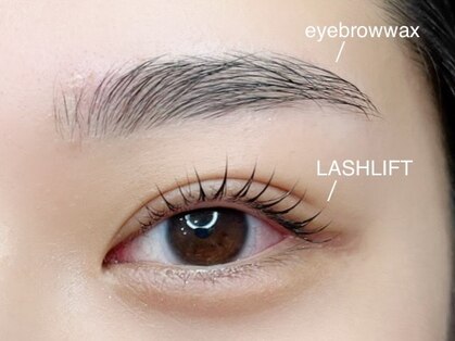 ジャスミン(Jasmine)の写真