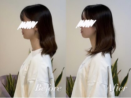 ハクト(Hakuto)の写真