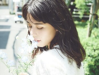 まつげエクステサロン プリューム アイ ビューティー 銀座店(PLUME EYE BEAUTY)