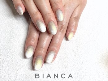 ビアンカ 溝の口店(Bianca)/マグネットネイル¥6850(1本¥165)