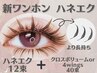 【新網紅（ワンホン）】ハネエク12束＋4wings or クロスボリューム40束☆