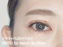 ウィード 橿原店(WEED by サロンドオリーブ)/ハリウッドLED 6D &nbsp;240本