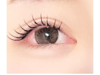 エムスタイルの写真