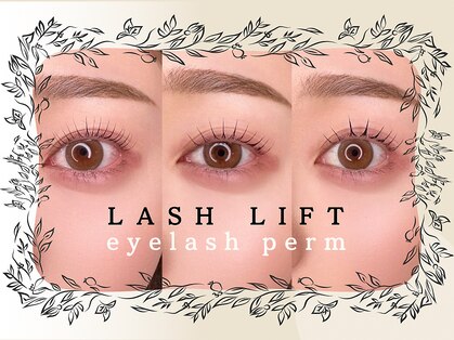 ロロ 松江店(LoLo)の写真