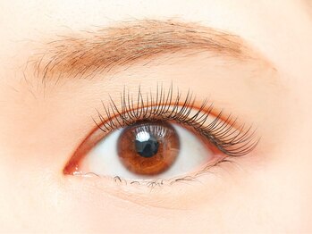 アイラッシュトウキョウ 戸塚(TOKYO)/ゴージャス１２０本