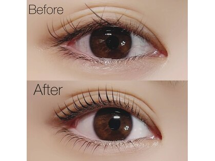 ジャスミン(jasmine)の写真