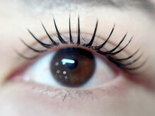 エクラ(eclat)/フラットラッシュ160本