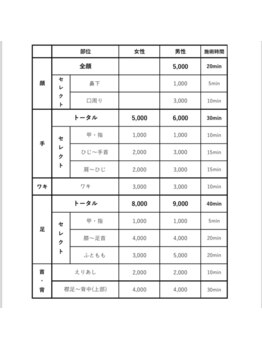 ビークラン(BecraN)/脱毛価格【早見表】