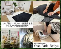 ヨサパーク ビリュウ(YOSA PARK Bellyu)