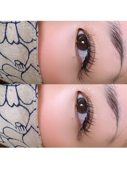エトワール(private eye salon etoile)/《single lash》D→Cカール120本