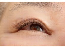 シマー(shimmer)/フラットマットブラウン120本