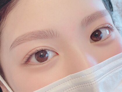 ホリー(holly)の写真