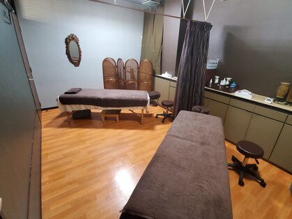 ルピナス(Lupinus)の写真