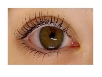 アーベン アイラッシュ(AERBEN..Eyelash)/次世代まつげパーマ(上下)