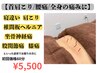 ☆人気No.2【首肩こり/腰痛/全身の痛み】鍼灸整体コース 60分 初回特典¥5500
