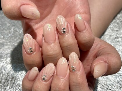 プロテア(protea)の写真